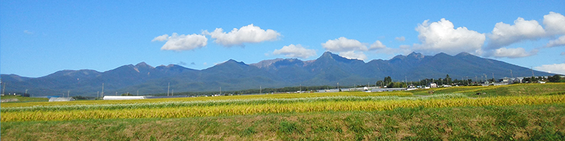 八ヶ岳エリア