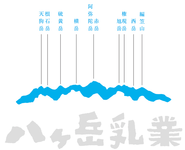 八ヶ岳乳業ロゴの秘密1